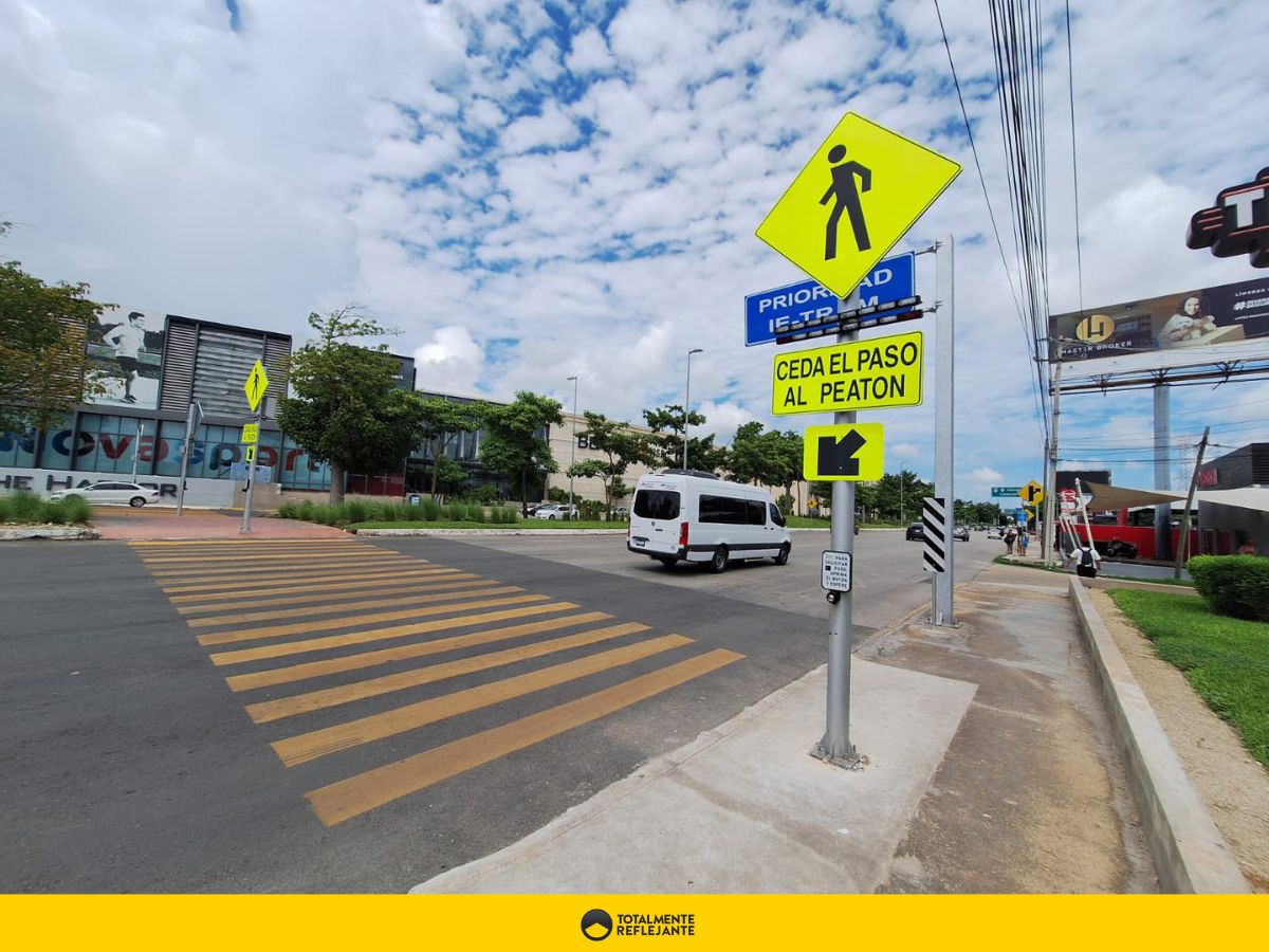 Cruzar la calle de forma segura: velocidad, señalización y prevención ...